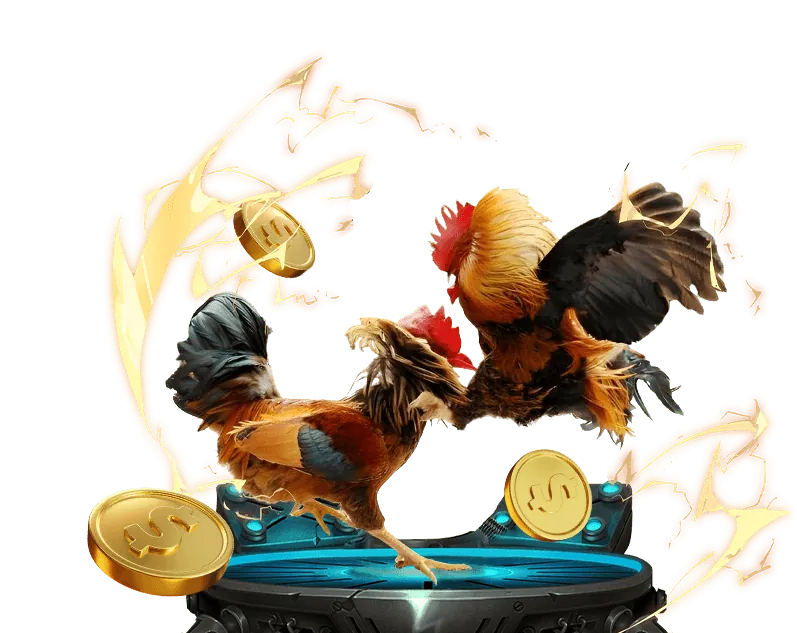 Các Loại Khuyến Mãi ok8368